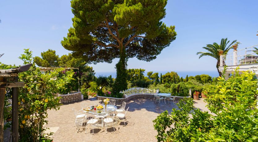 Photo of Azure Wonder