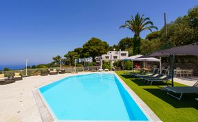 Photo of Azure Wonder