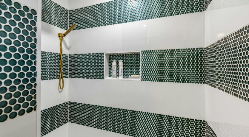 Photo of Springs Sunbeam