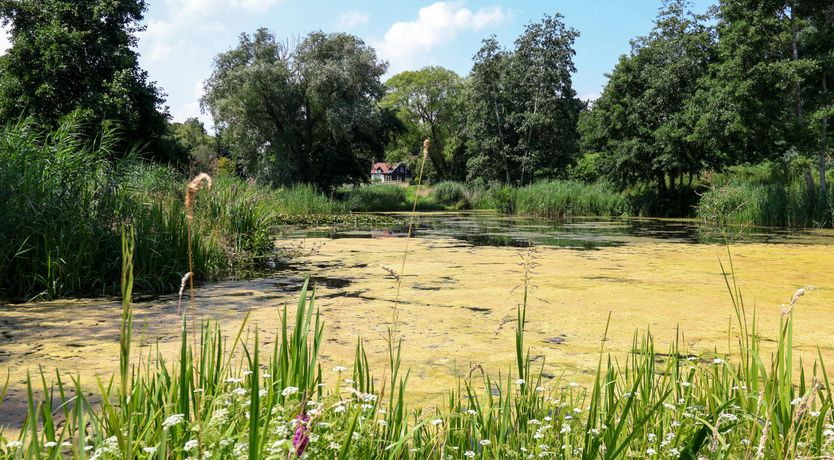 Photo of Norfolk Haven