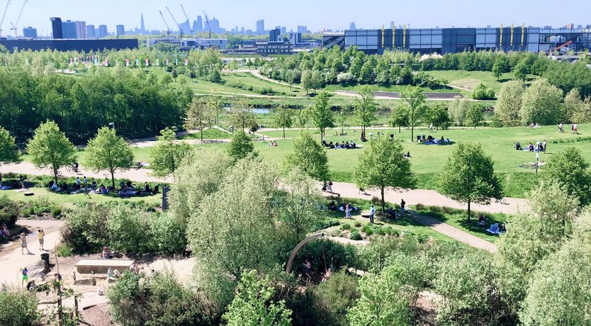 Photo of Park's Jewel