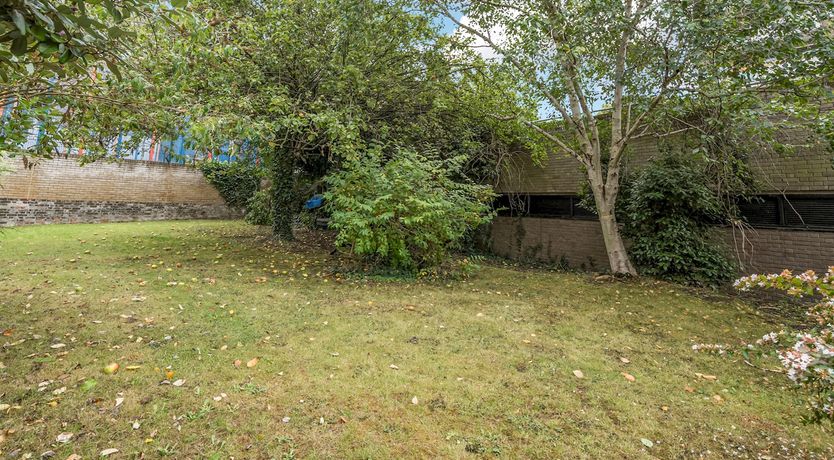 Photo of Primrose Muse