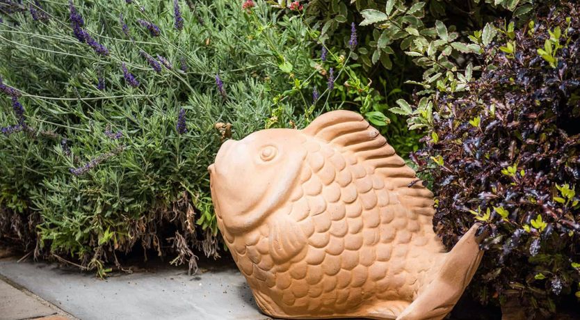 Photo of Salcombe Ballad