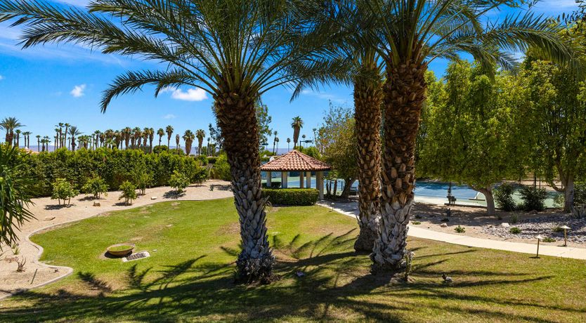 Photo of Desert Beauty