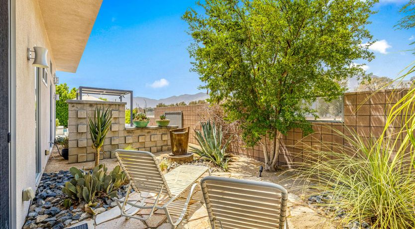 Photo of Desert Blossom