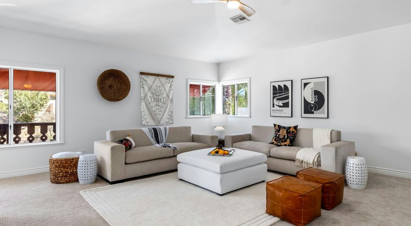 Photo of Desert Shadow