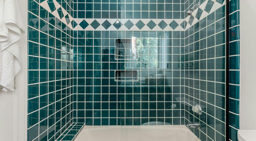 Photo of Desert Shadow