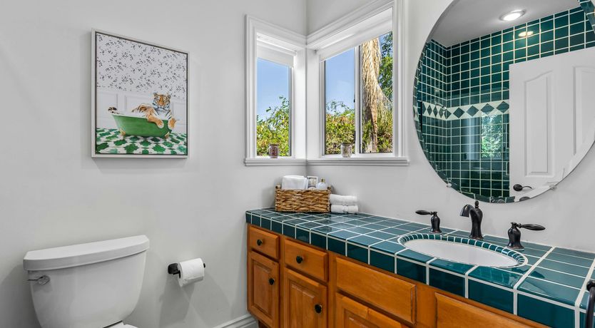 Photo of Desert Shadow