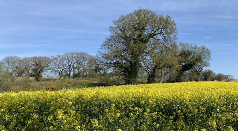 Photo of Ocean Place