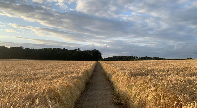 Photo of Ocean Place