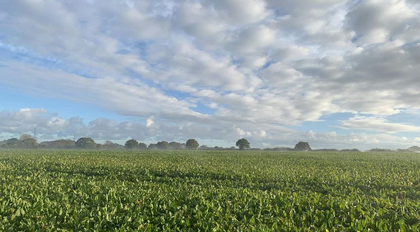 Photo of Ocean Place