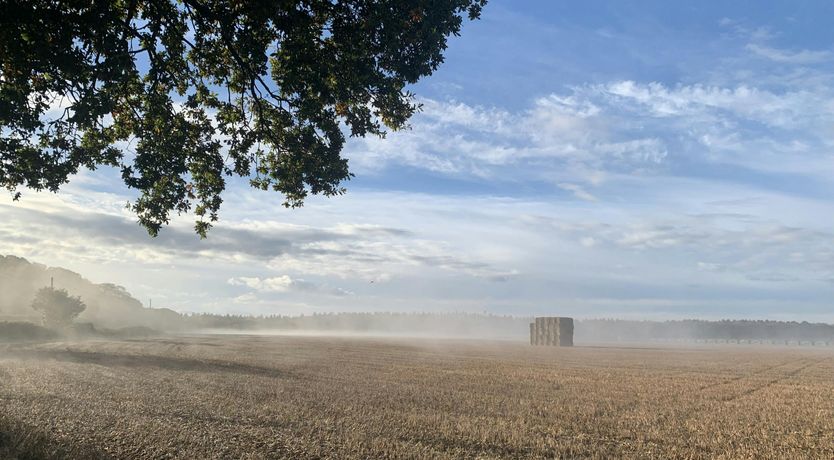 Photo of Ocean Place