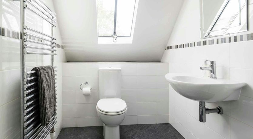 Photo of The Little Sailor