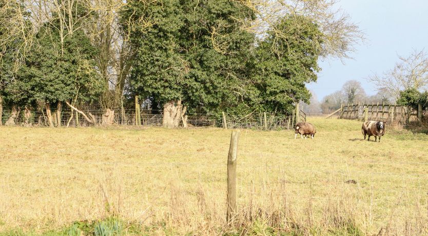 Photo of The Manor Abode