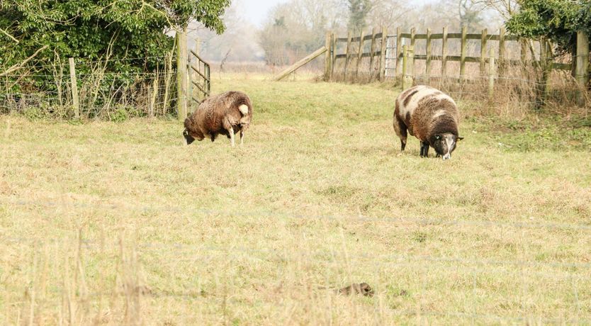 Photo of The Manor Abode