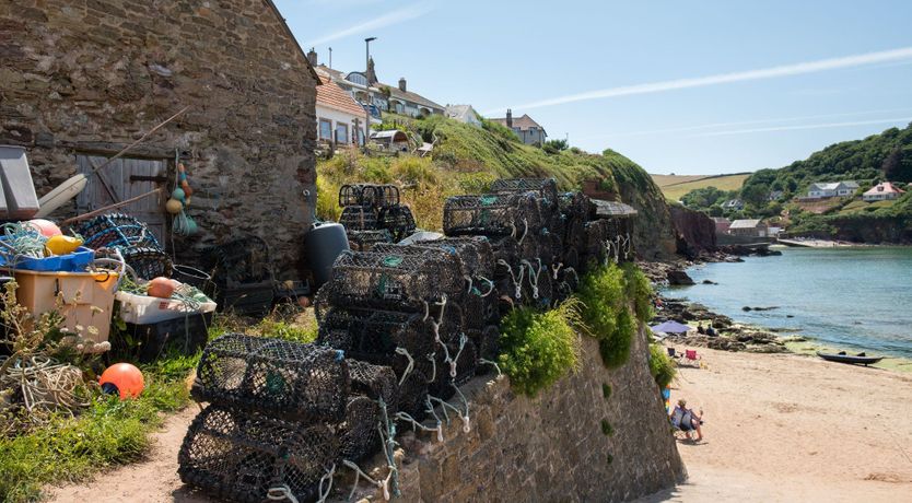 Photo of Seashell Serenade