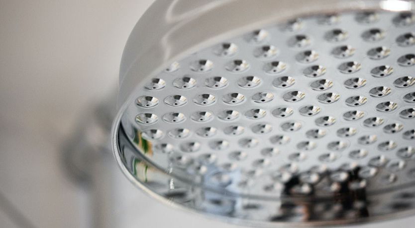 Photo of Seashell Serenade