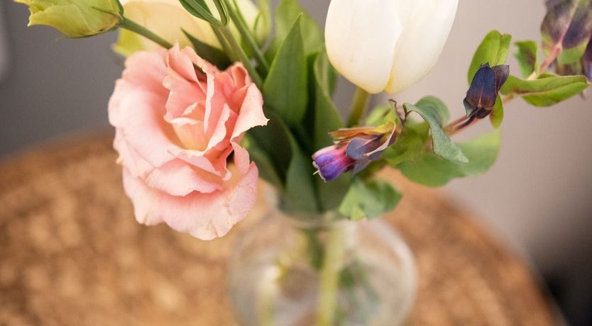 Photo of Seashell Serenade