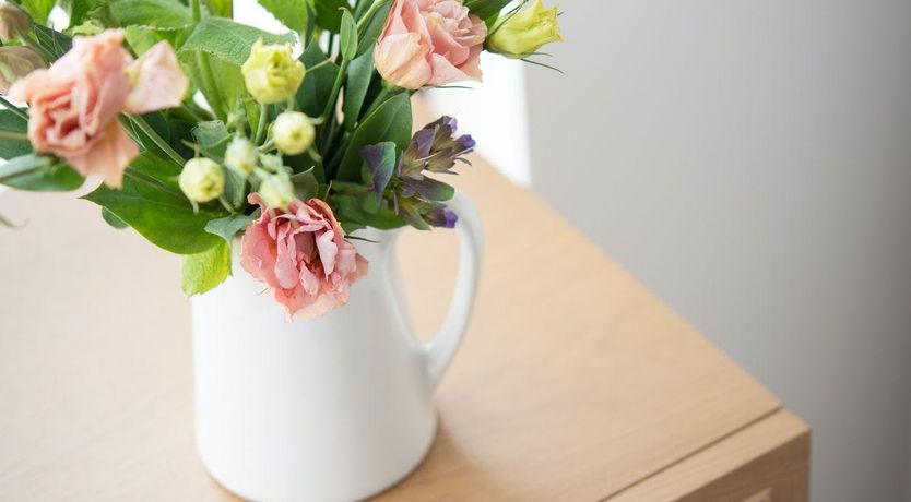 Photo of Seashell Serenade