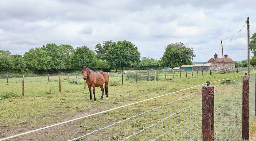 Photo of Country Orchard
