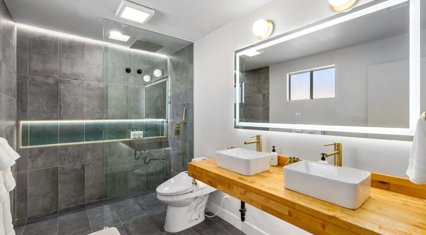 Photo of Sunlit Palms