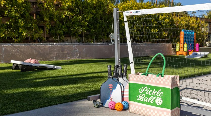 Photo of Sunlit Palms