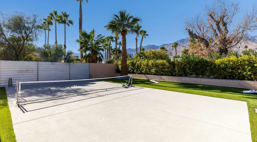Photo of Sunlit Palms