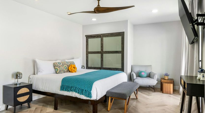 Photo of Sunlit Palms