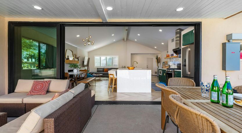 Photo of Sunlit Palms