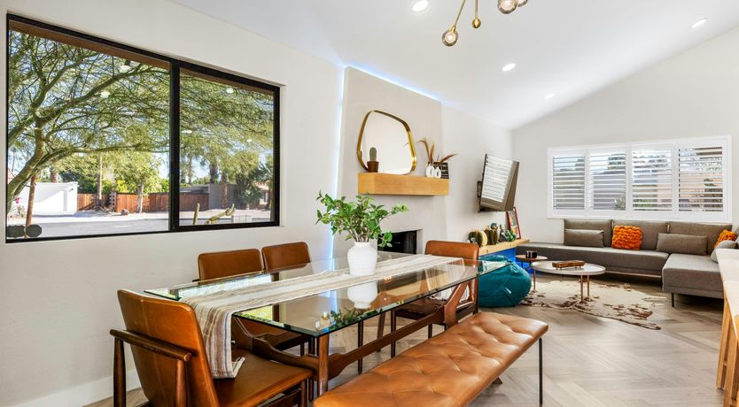 Photo of Sunlit Palms