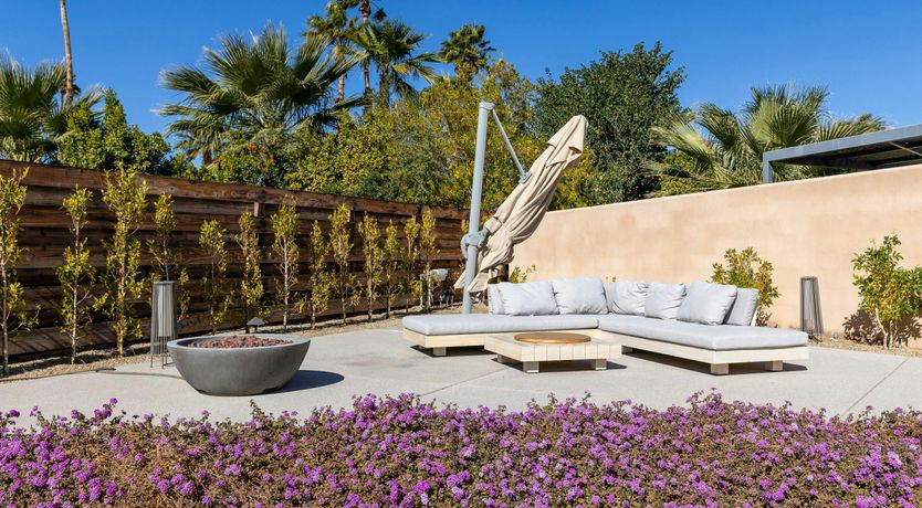 Photo of Sunlit Palms