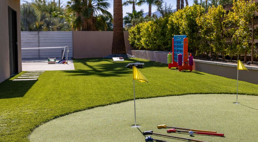 Photo of Sunlit Palms