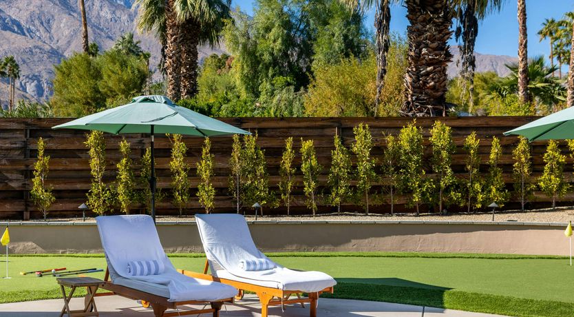 Photo of Sunlit Palms