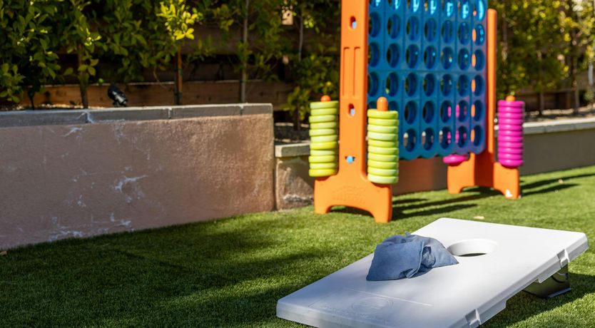 Photo of Sunlit Palms