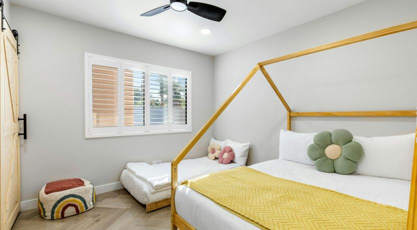 Photo of Sunlit Palms