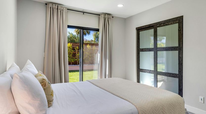 Photo of Sunlit Palms