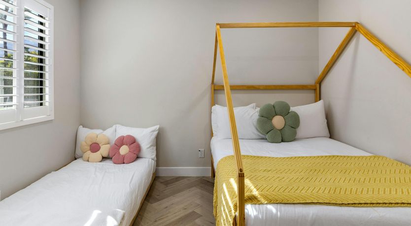 Photo of Sunlit Palms