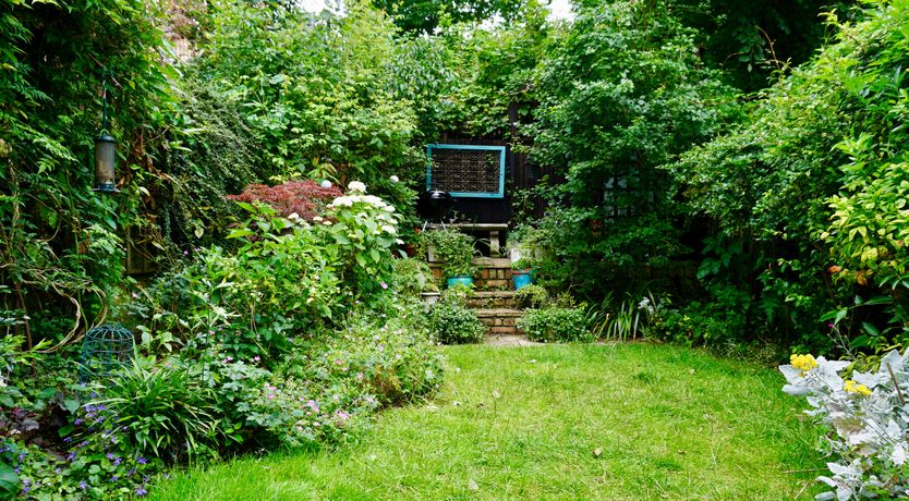 Photo of Arboretum & Pine