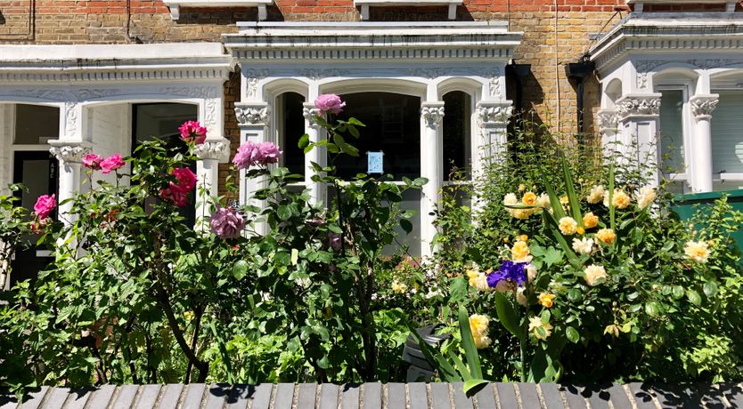 Photo of Arboretum & Pine