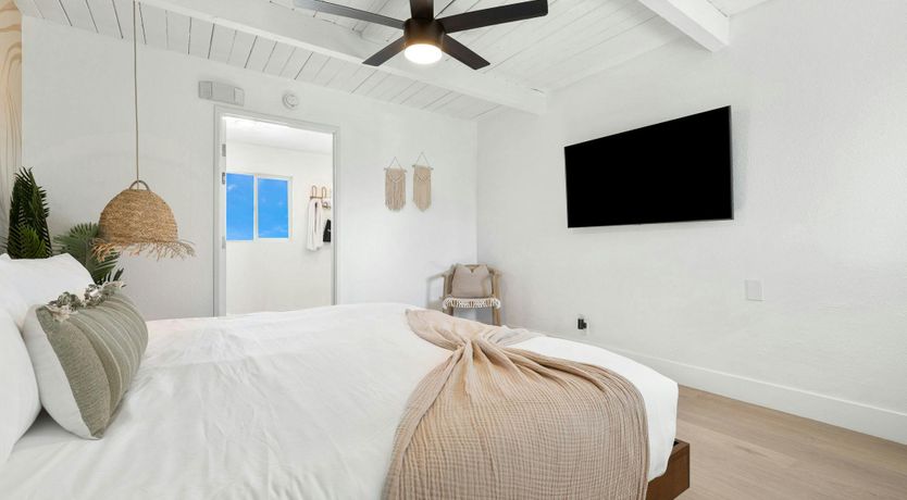 Photo of Classic Oasis