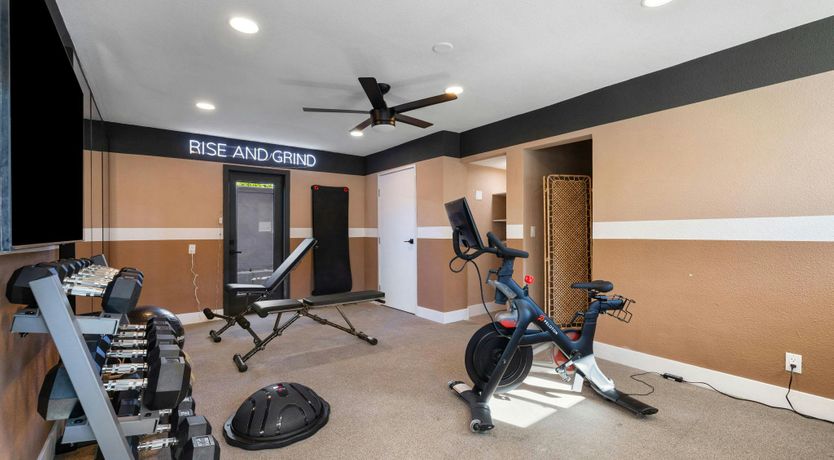 Photo of Classic Oasis