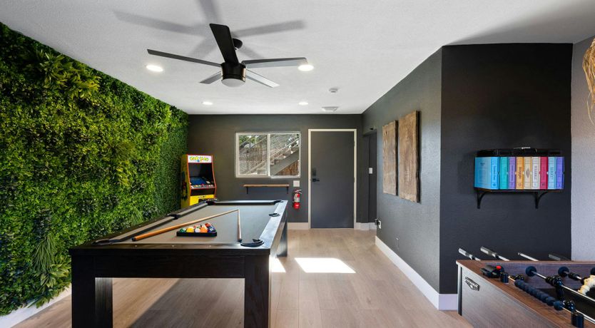 Photo of Classic Oasis