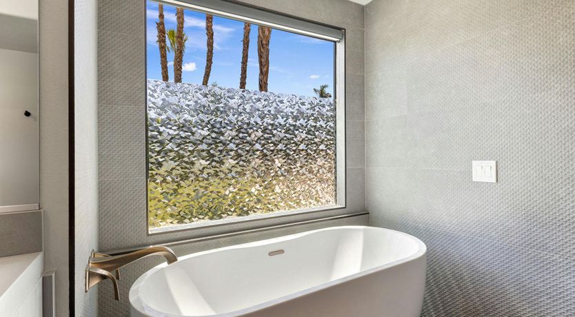 Photo of Waterfalls & Palms