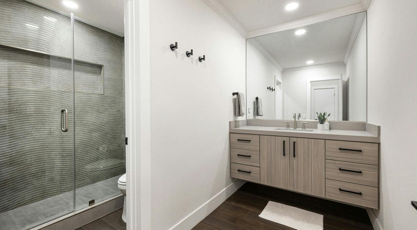 Photo of Waterfalls & Palms