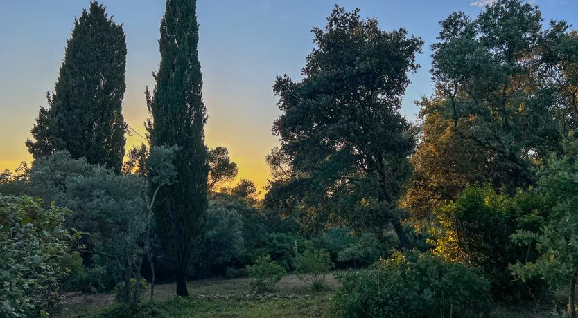 Photo of Wonderful View