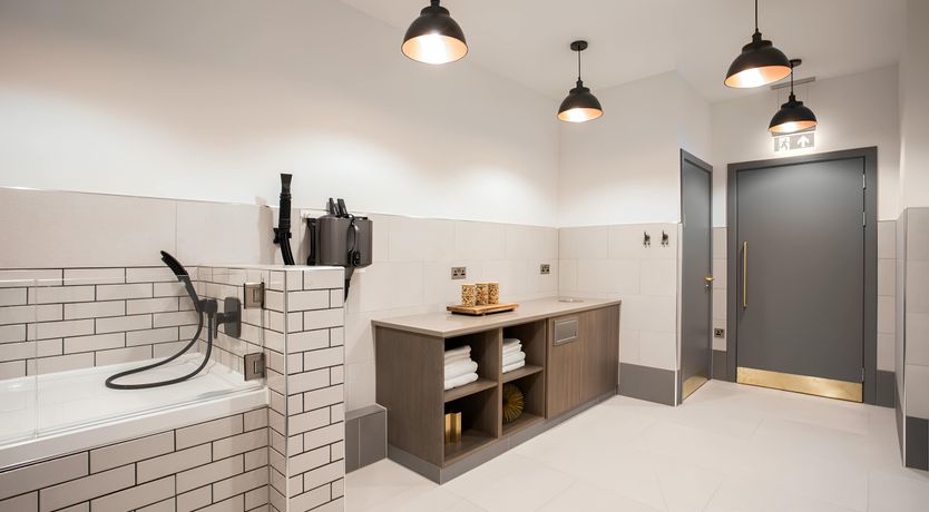 Photo of The Blue Quiet