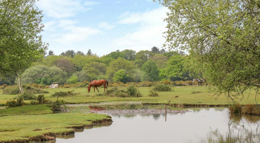 Photo of Bridge Cottage