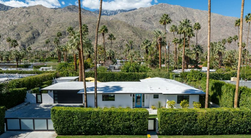 Photo of Pink & Palms