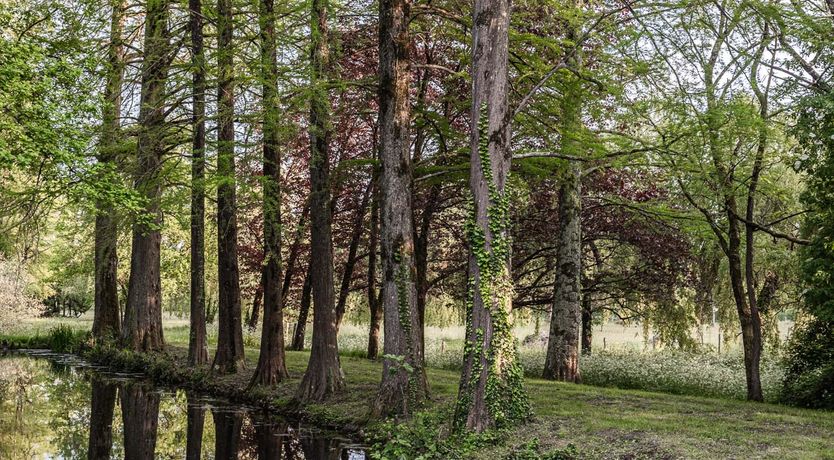 Photo of French Jewel