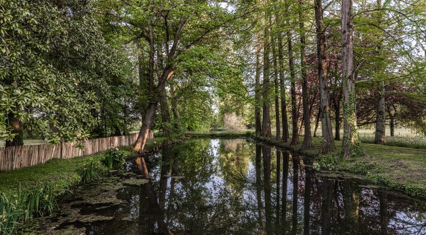 Photo of French Jewel